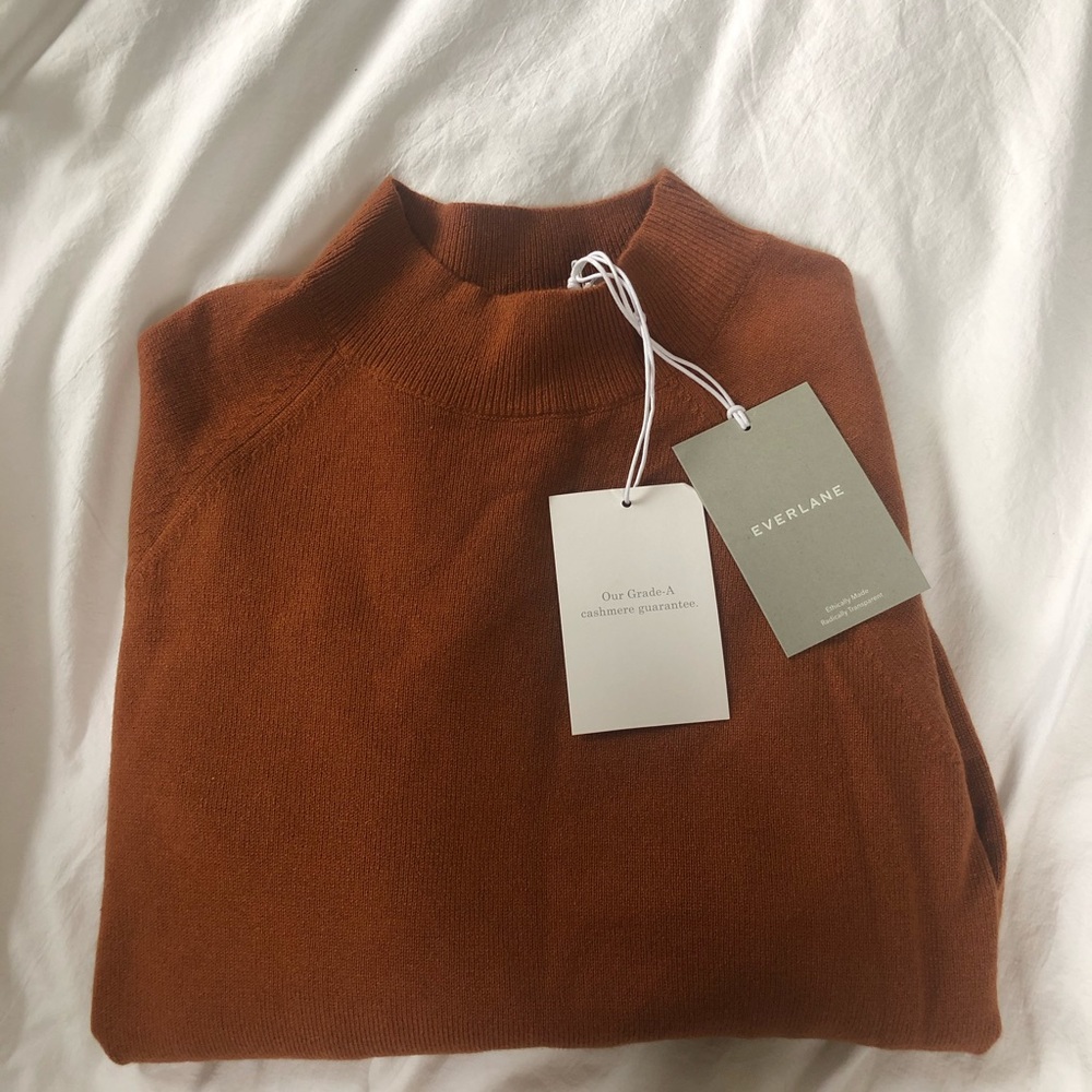 Everlane The Cashmere Raglan Mockneck